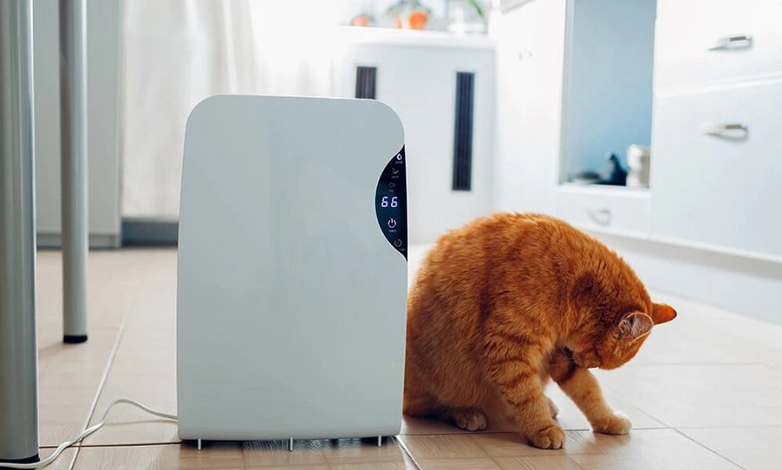 Creative Ways to Boost Your Media